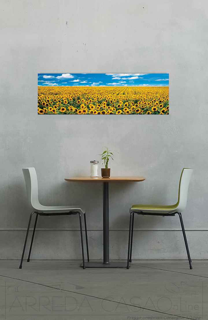 Quadro Stampa ANTHEA IMAGES A Sunflower Field in Provence EC14546 - Prezzo web
