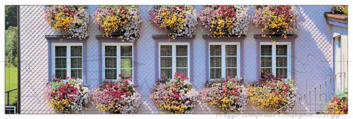 Quadro Stampa YAMASHITA Bloomed Balconies, Appenzel, Switzerland EC18384 - Prezzo web