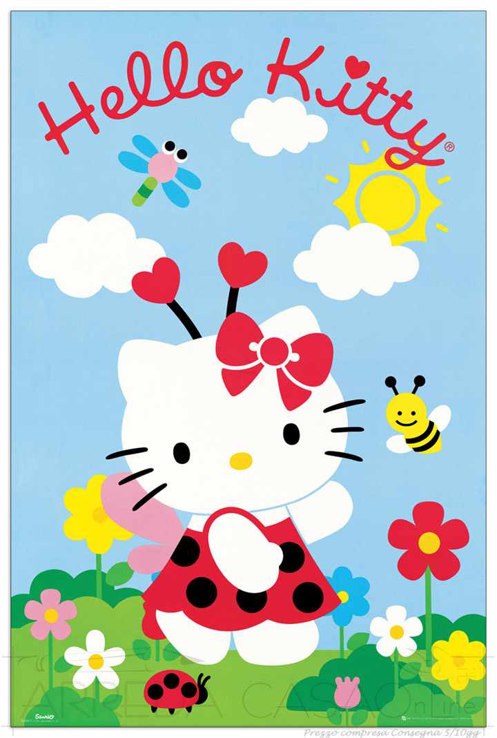 Quadro Stampa HELLO KITTY Hello Kitty EC18454 - Prezzo web