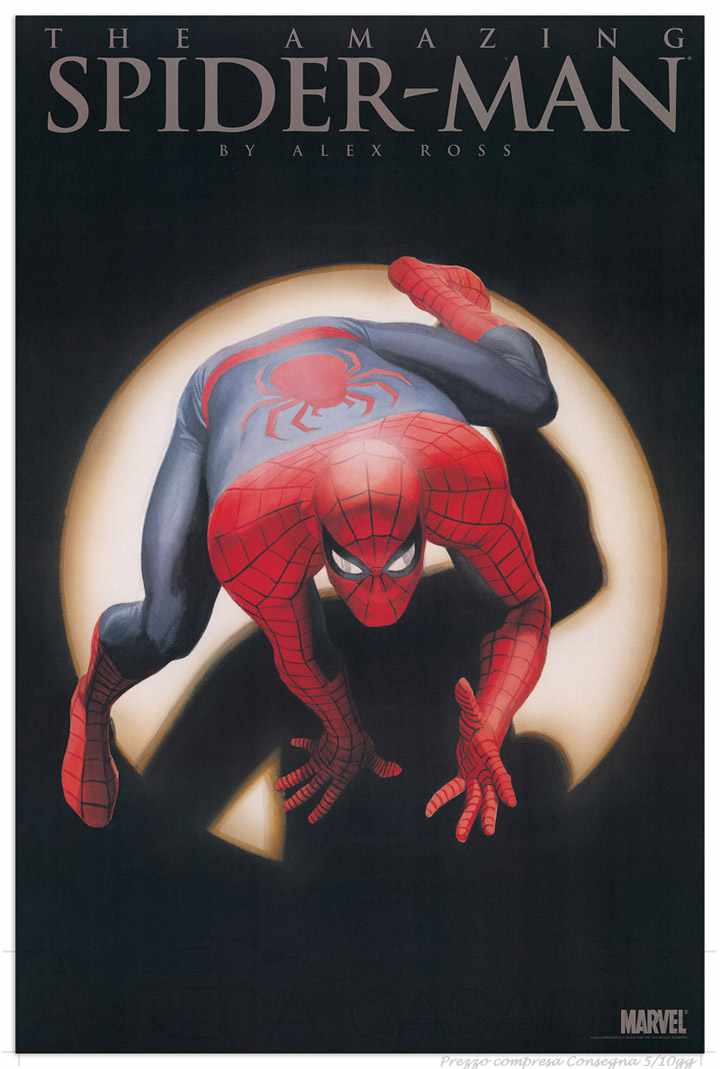 Quadro Stampa Spiderman Spiderman EC20876 - Vendita web