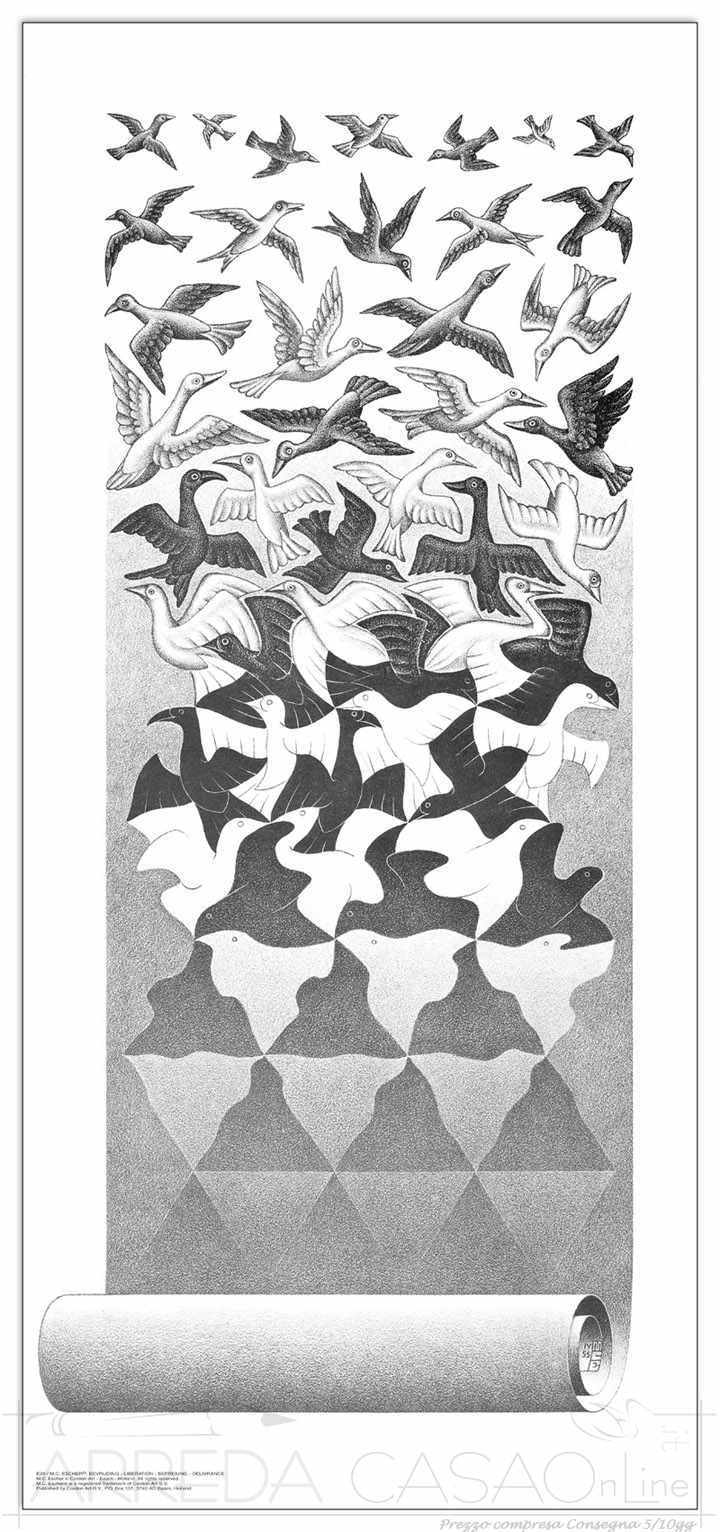 Quadro Stampa Escher Liberation EC21503 - Vendita online