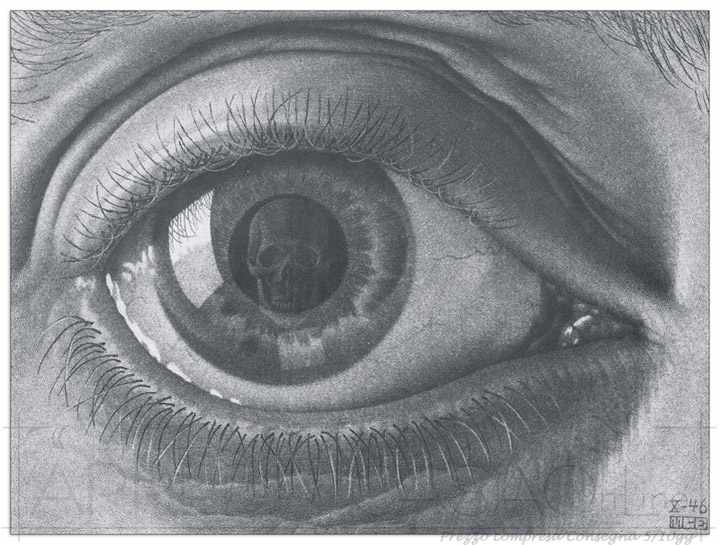 Quadro Stampa Escher Eye EC21504 - Vendita online