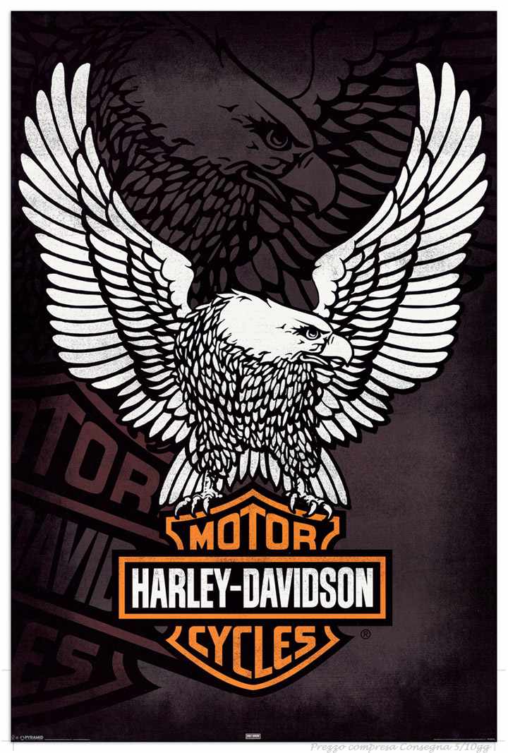 Quadro Stampa HARLEY DAVIDSON Eagle EC21570 - Vendita online