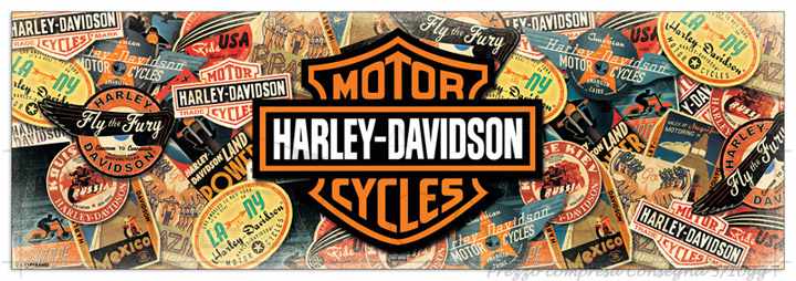 Quadro Stampa Harley Davidson Travel EC21667 - Prezzo web