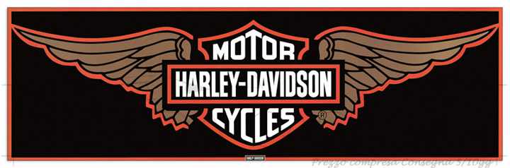 Quadro Stampa Harley Davidson Wings EC21668 - Prezzo web