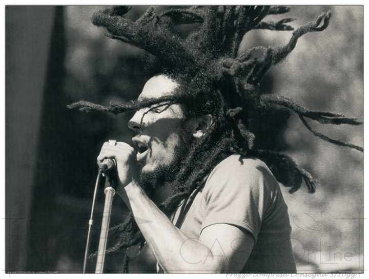 Quadro Stampa ANONYMOUS Bob Marley EC21770 - Prezzo web