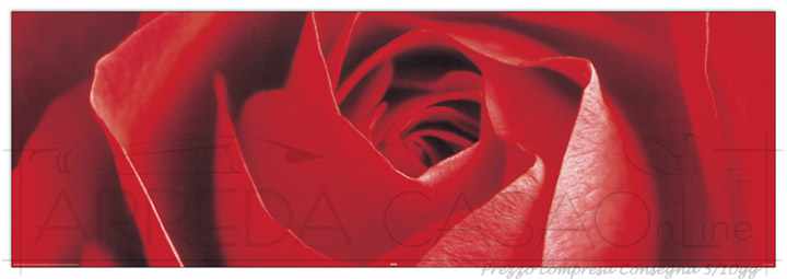 Quadro Stampa ANONYMOUS Red rose EC22100 - Prezzo web