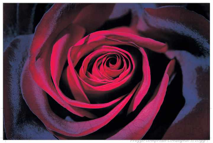 Quadro Stampa DARK Purple rose EC22106 - Prezzo web